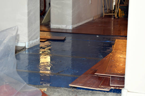 Professional Basement Water Removal technician working in Hurley, MS